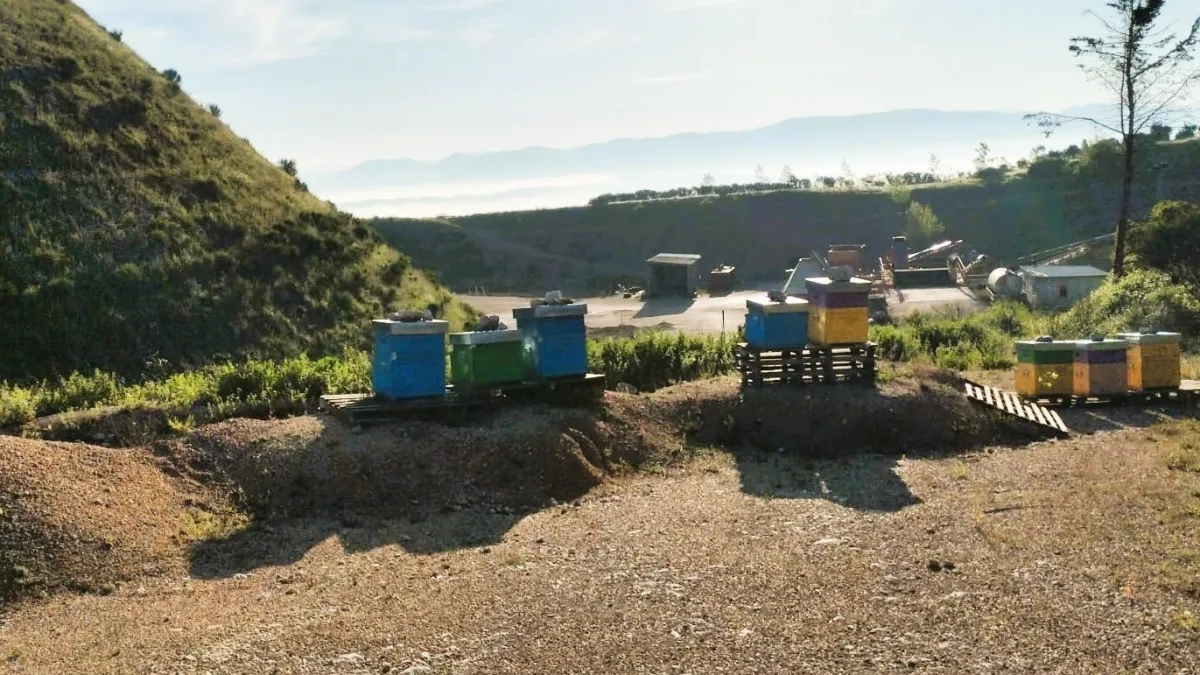 L'Umbria punta sulle api per rigenerare il territorio: nasce 'Proud to Bee quarry'