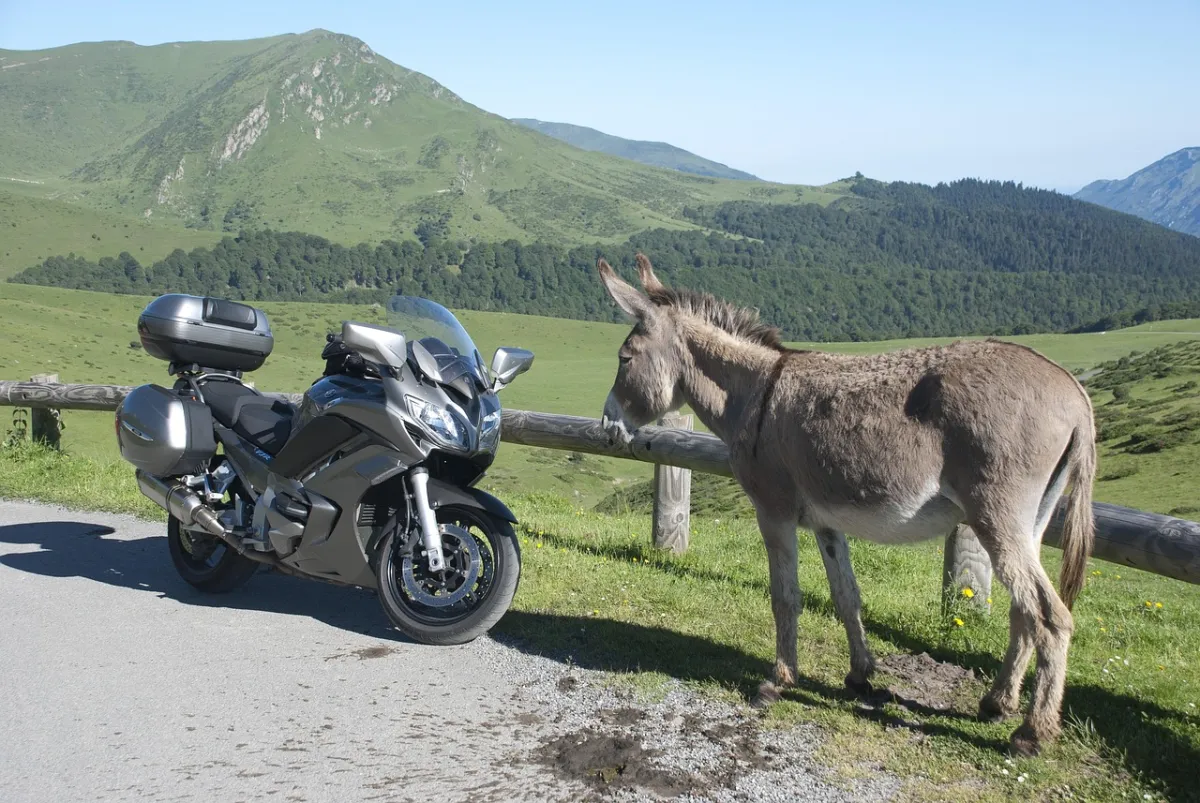 Umbria, stop ai motori sui sentieri: approvata la nuova legge regionale