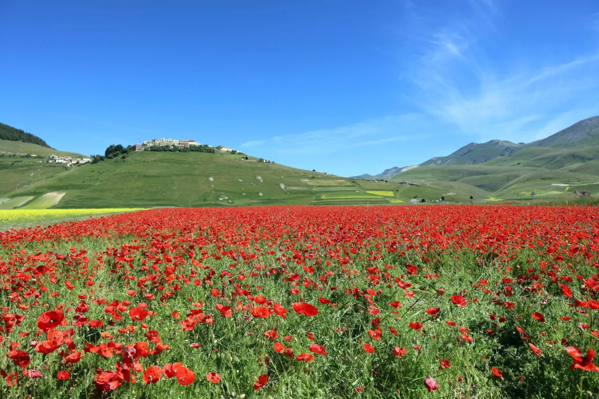 “L’Umbria in tutti i sensi”: la nuova immagine della Regione tra natura, spiritualità e sapori