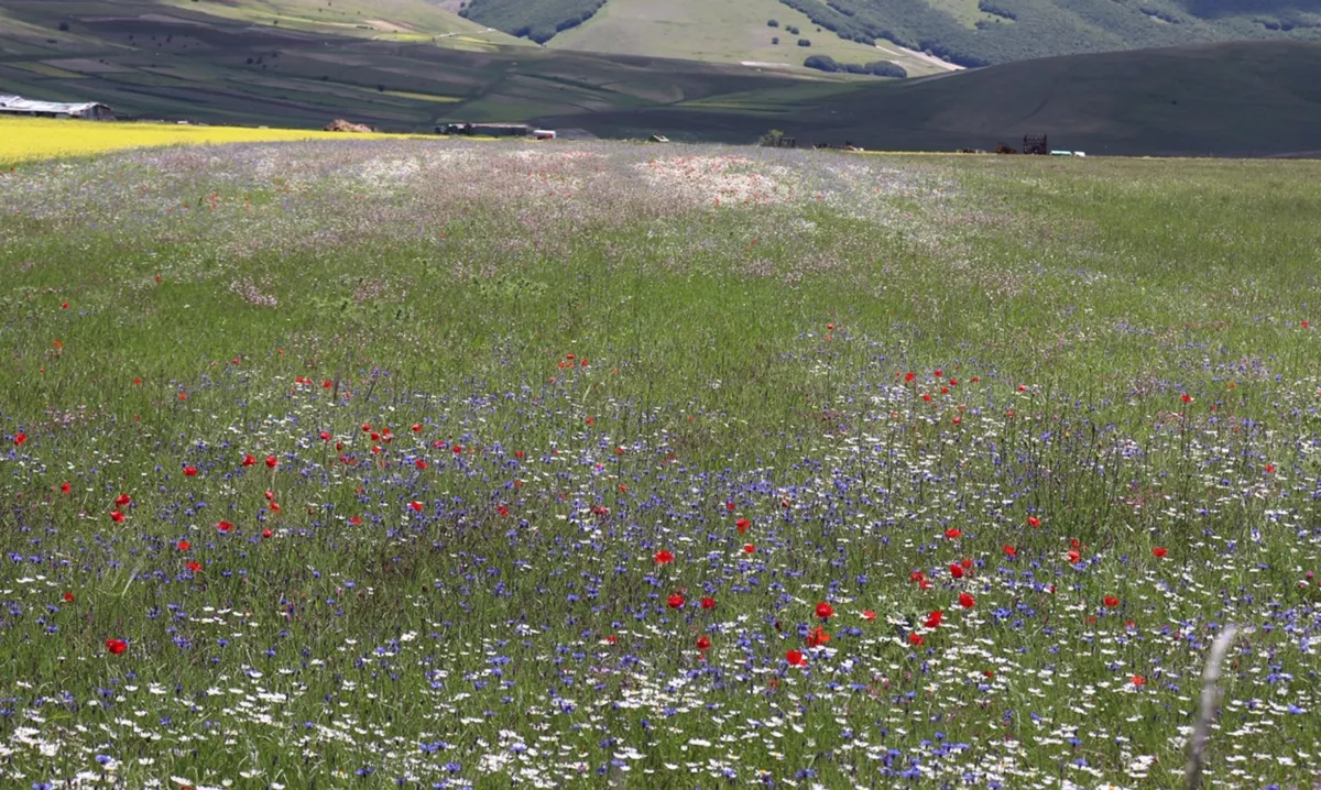 Dopo un week end di sole, torna l'instabilità. Che meteo farà in Umbria nella seconda settimana di maggio