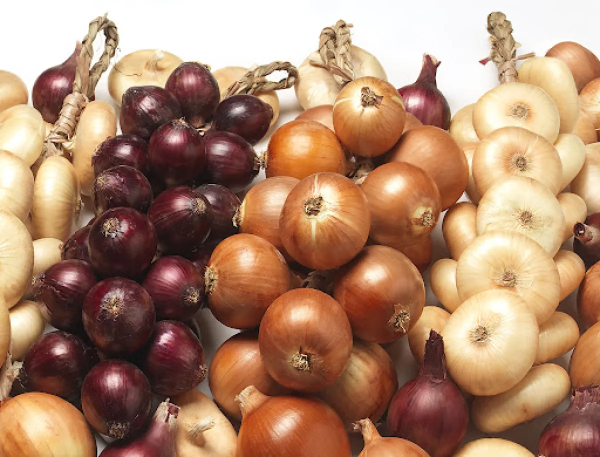 Alla scoperta degli ortaggi dell'Umbria: rarità e ricchezze della cucina contadina