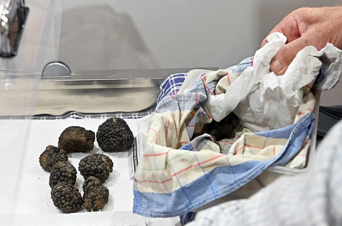 Truffle Experience: i percorsi del gusto alla scoperta del tartufo umbro