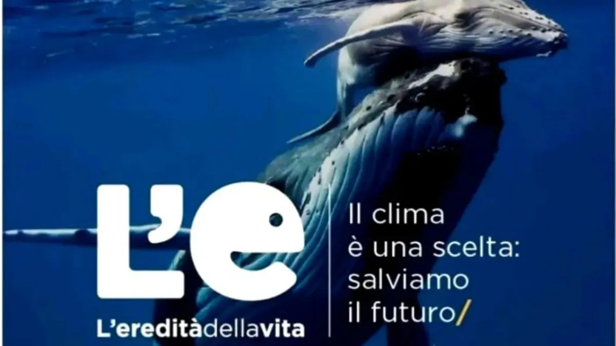Giornata mondiale delle api e della biodiversità: tutti gli appuntamenti a Perugia dedicati all’ambiente