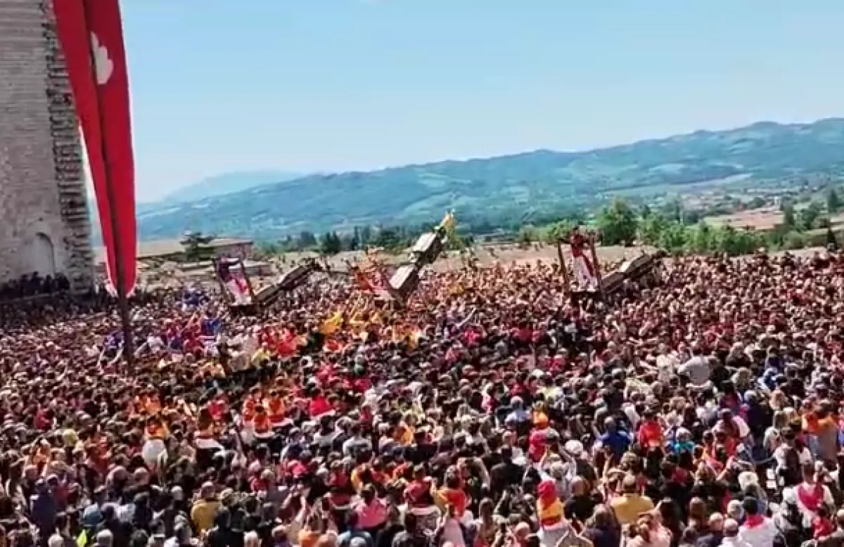 I Ceri Mezzani 2025: il cuore giovane della Festa di Gubbio. Un'Alzata perfetta, tre Ceri, una città intera