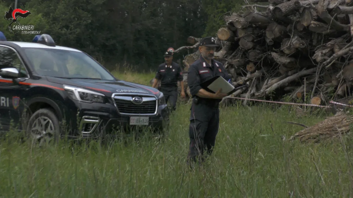 Fiume Rasina, tagli irregolari e 53 controlli dei Carabinieri: una denuncia