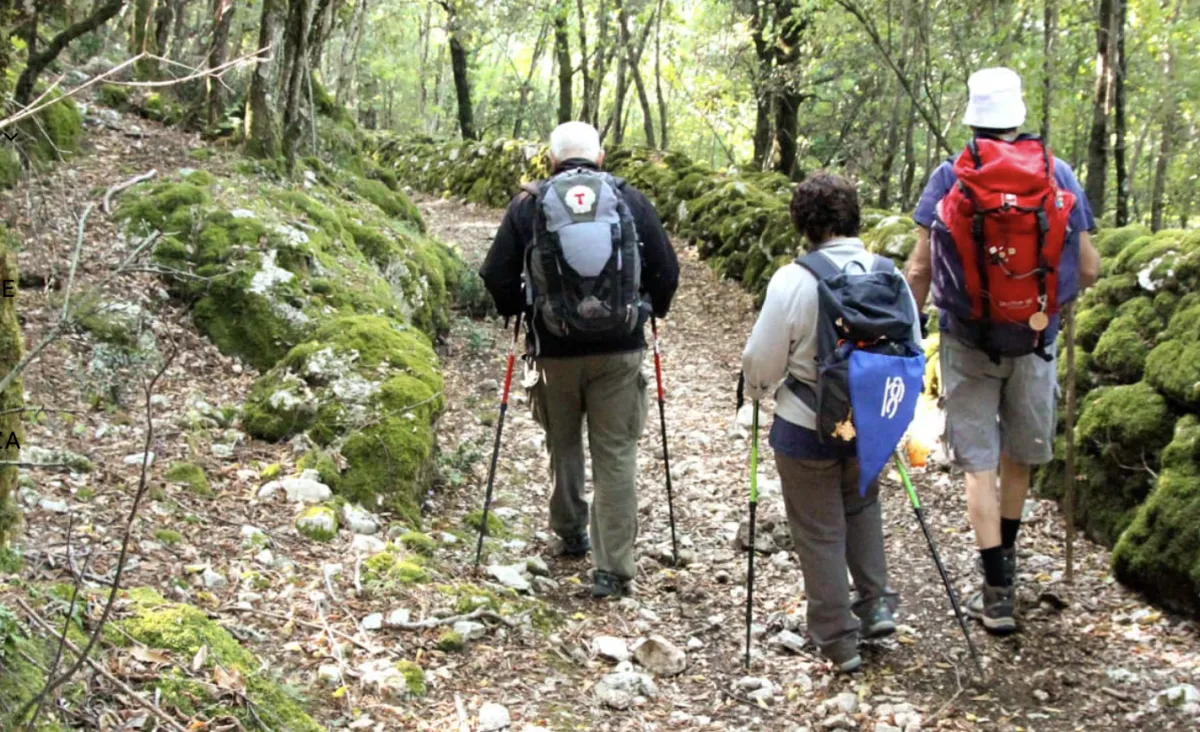 Via di Francesco: il trekking tra i paesaggi più autentici d’Italia centrale