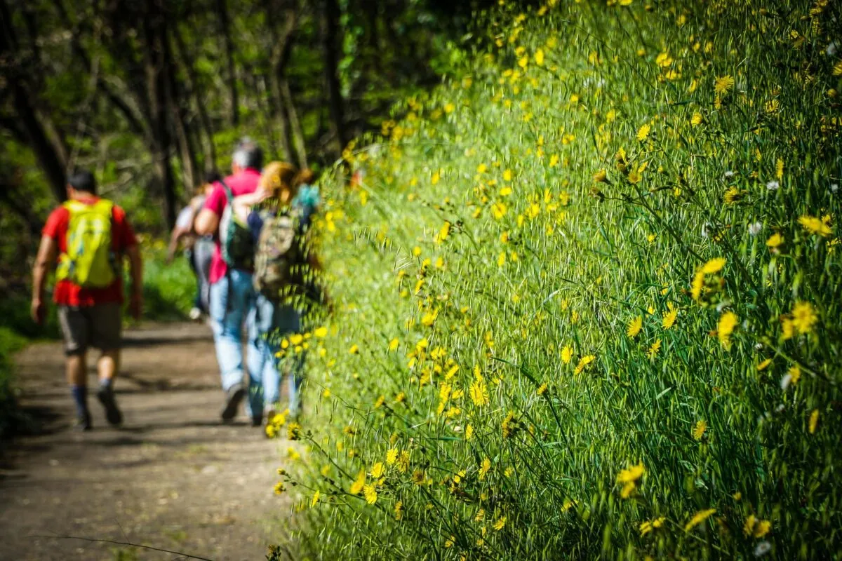 Umbria Walking Ultramarathon, dal Tevere ai Monti Martani 126 km di cammino tra i borghi umbri