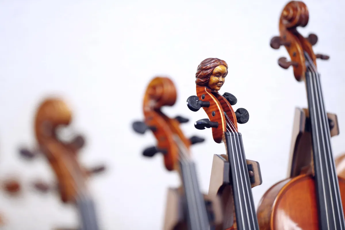 Tutti gli eventi del Conservatorio Briccialdi di Terni dal 3 giugno 2025