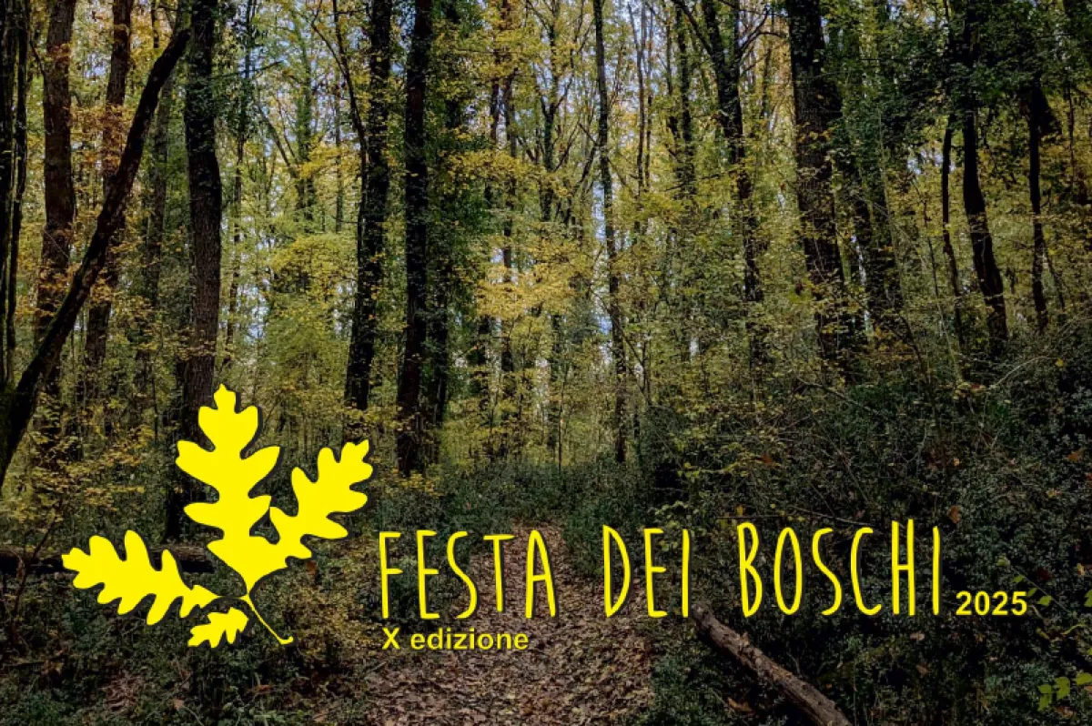 Eventi nella natura umbra: le migliori proposte di giugno per rigenerarsi all'aria aperta