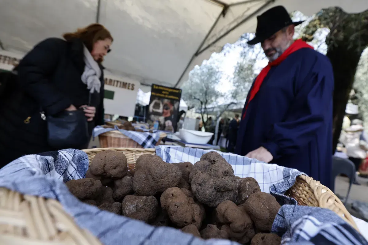 Dove mangiare il tartufo in Umbria: ristoranti da non perdere nella stagione estiva