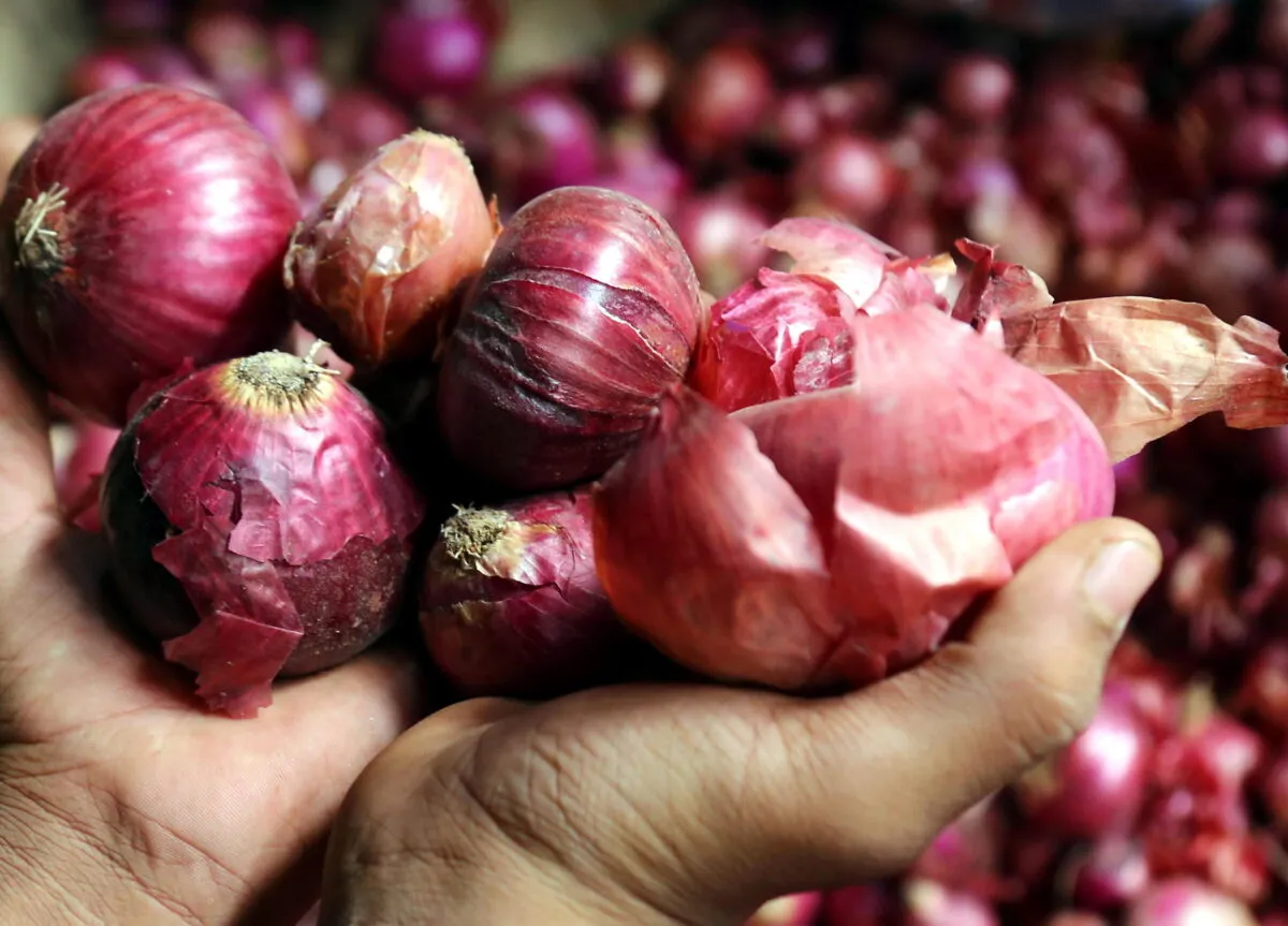 Sapori autentici dell'Umbria: le specialità vegetali che nascono solo in questa terra