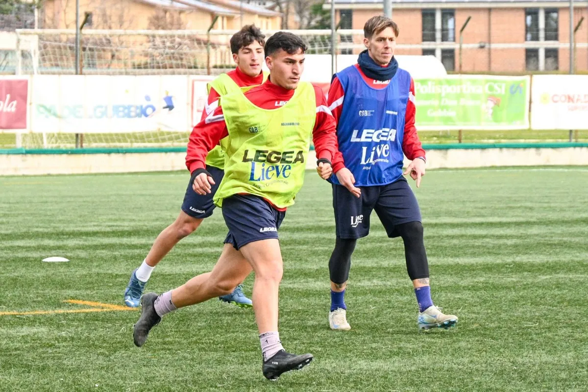 Gubbio, pressing per Iaccarino: trattative in corso per la permanenza in rossoblù
