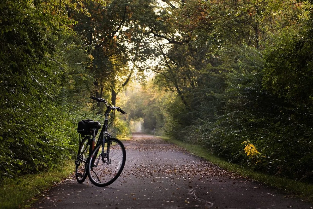 Tra salite panoramiche e sentieri ombreggiati: i top bike-tour dell'estate umbra
