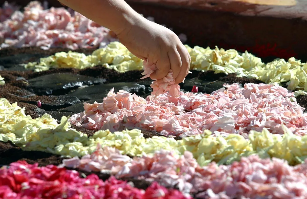 Gli eventi animano le periferie di Terni: nuova mostra a Collescipoli e prima infiorata di quartiere a Borgo Bovio
