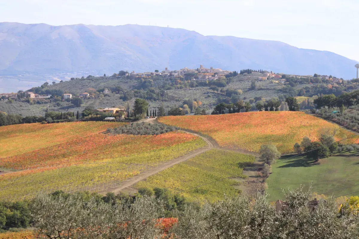 Sapori d'Umbria in festa: le sagre imperdibili dedicate ai prodotti tipici della tradizione regionale