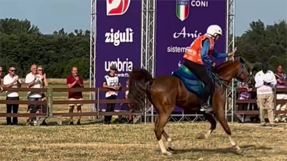 Castiglione del Lago, Equitazione Endurance: medaglia d'argento per l'Italia