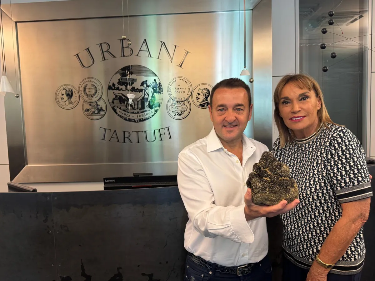 Il tartufo da record dell’Umbria vola a New York da Montefalco. Giammarco Urbani: “È un segnale fortissimo per tutta la stagione”