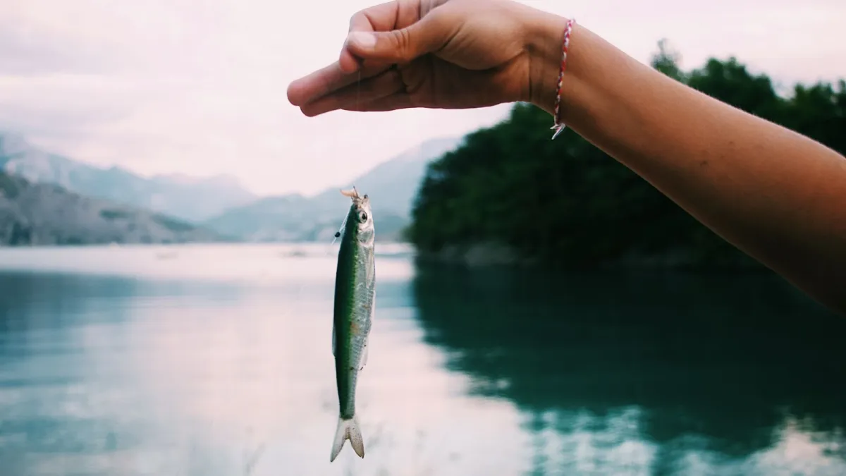 Umbria, più controlli su caccia e pesca: accordo biennale con la Provincia di Terni