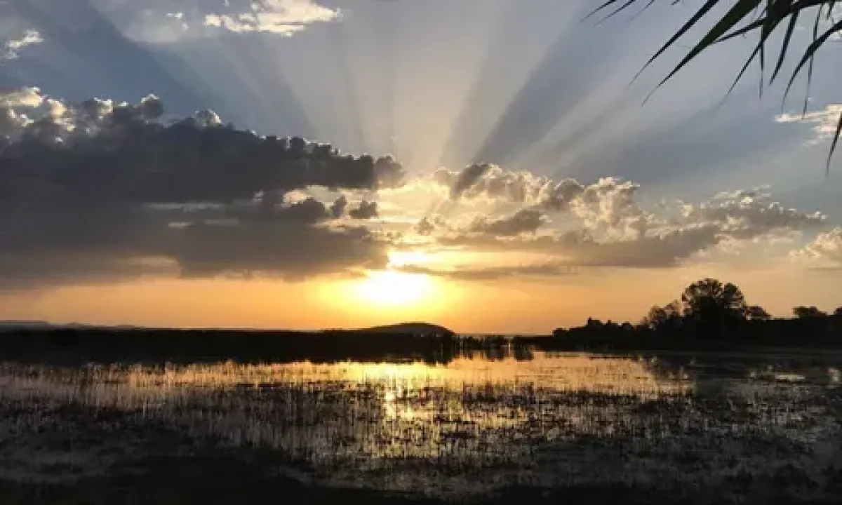 Birdwatching d’estate in Umbria: le destinazioni ideali tra parchi e aree protette per osservare l’avifauna locale a luglio