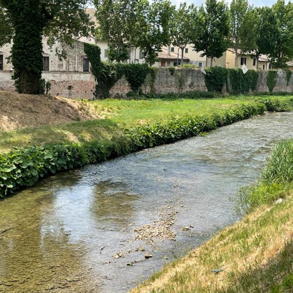 ‘Ti racconto Bettona’ dalla Villa del Boccaglione: il programma dell’evento tra arte, storia ed enogastronomia