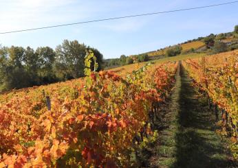 Eventi in Umbria a ottobre 2024: tutti gli appuntamenti orari e info