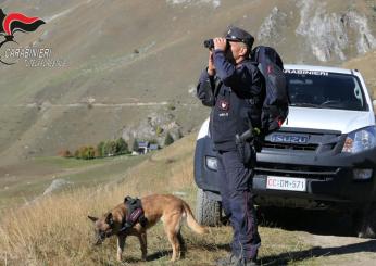 Carabinieri Forestali scoprono frode edilizia sulle colline del Trasimeno