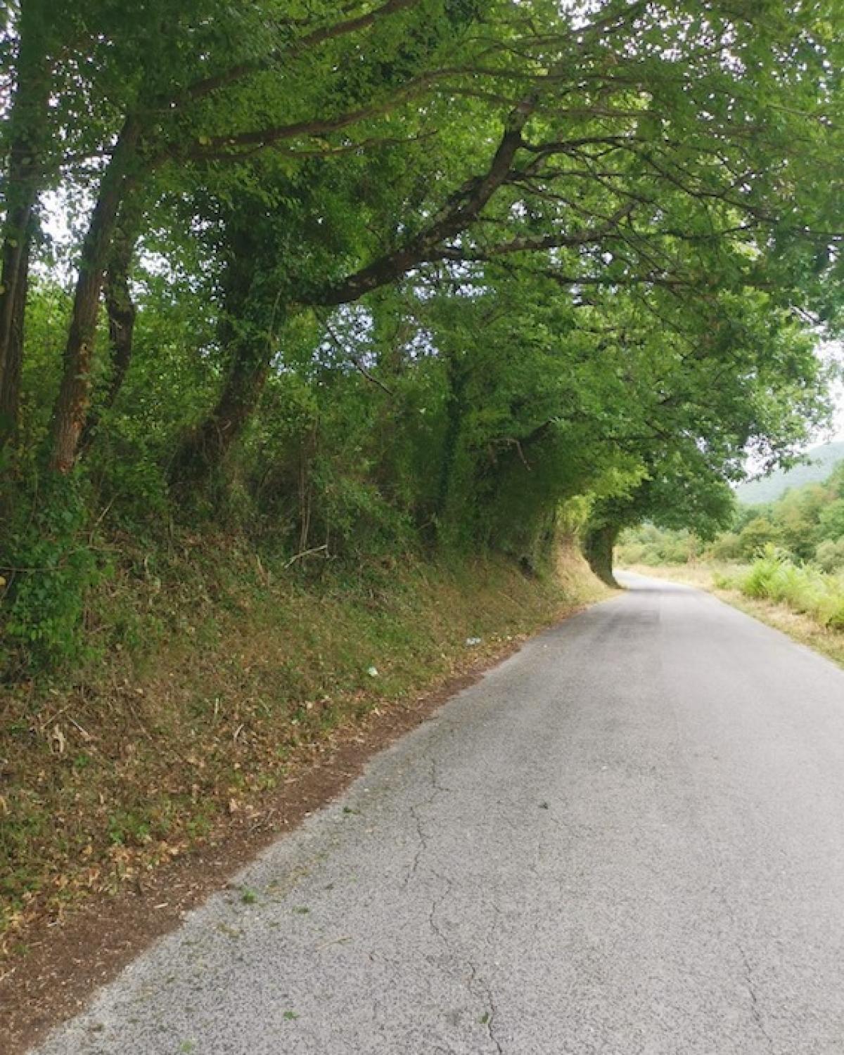 Spoleto, proseguono gli interventi di manutenzione del verde e non solo. I dettagli della settimana