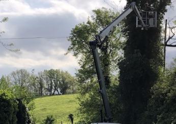 Vicenda abbattimento alberi protetti, 12 querce, nel tratto viario di Casaglia in virtù del passaggio del Giro D’Italia