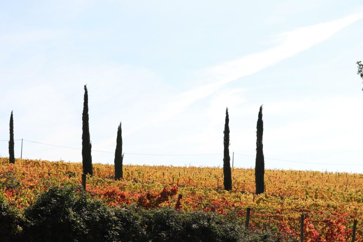 Perugia, sfruttamento di 70 stranieri all’interno di una impresa agricola: due imprenditori nei guai