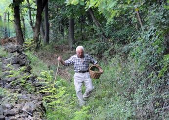 Gubbio, coppia di anziani si perde nel bosco: messi in salvo dopo ore