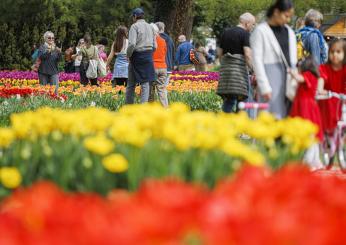 Castiglione del Lago invasa dai turisti per la Festa del Tulipano