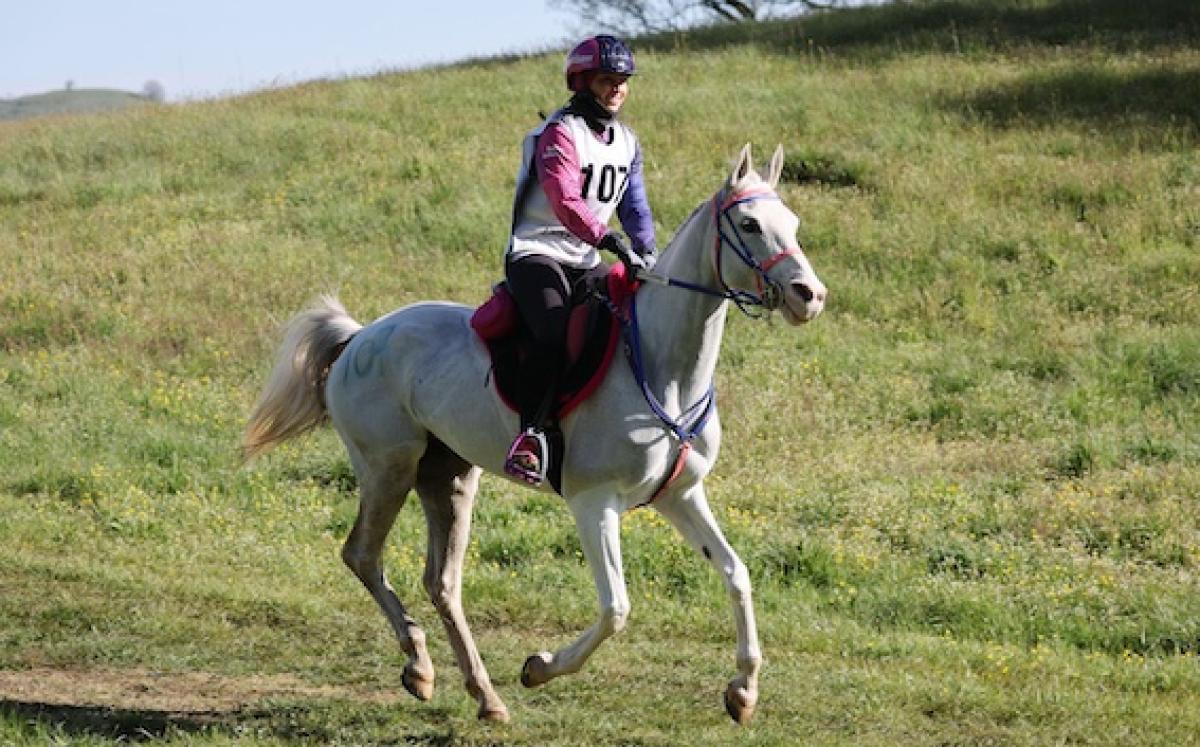 Castiglione del Lago si fa vetrina dell’Endurance a livello europeo: al via il Test Event