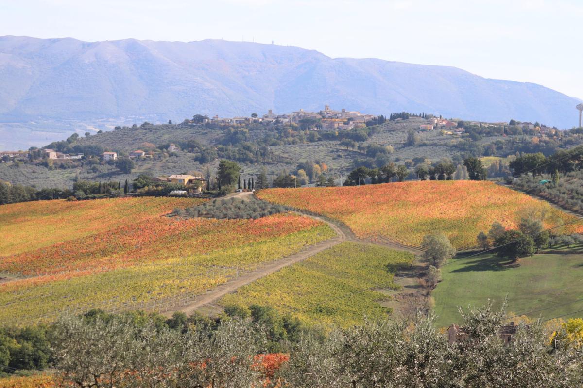 L’Umbria è la regione italiana preferita dai turisti: in aumento i numeri delle visite