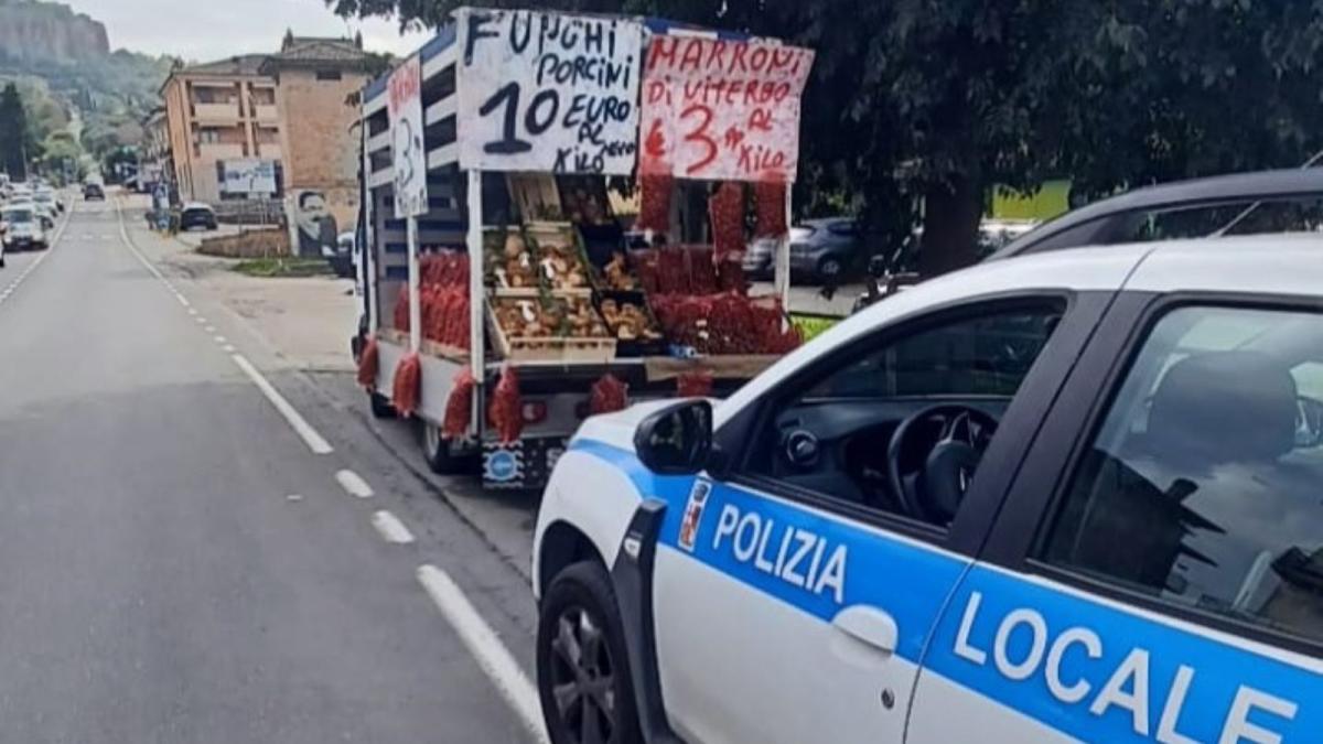 Orvieto, in giro a vendere funghi: 10 mila euro di multa a due ambulanti