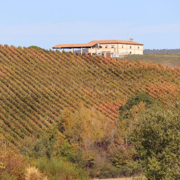 A Montefalco apre il Museo del Sagrantino