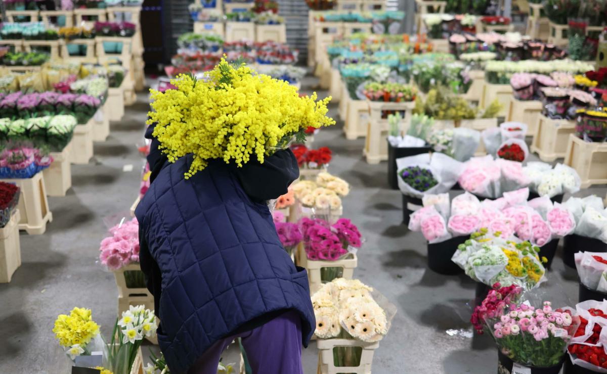 Terni: venditori ambulanti di mimose nella giornata dell’8 marzo