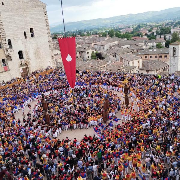 I Ceri raggiungono la Basilica di Sant’Ubaldo dopo una corsa impeccabile, grazie all’abilità e all’animo dei ceraioli