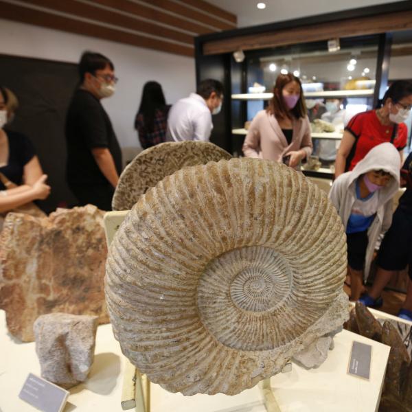 Distrutti i cartelli geo-segnaletici della Gola del Bottaccione a Gubbio. Regna l’abbandono in un sito tra i più importanti del Mondo