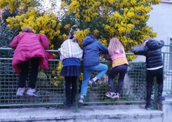 Nasce a Foligno, tra i banchi di scuola, la cover ecosostenibile: ecco di cosa si tratta 