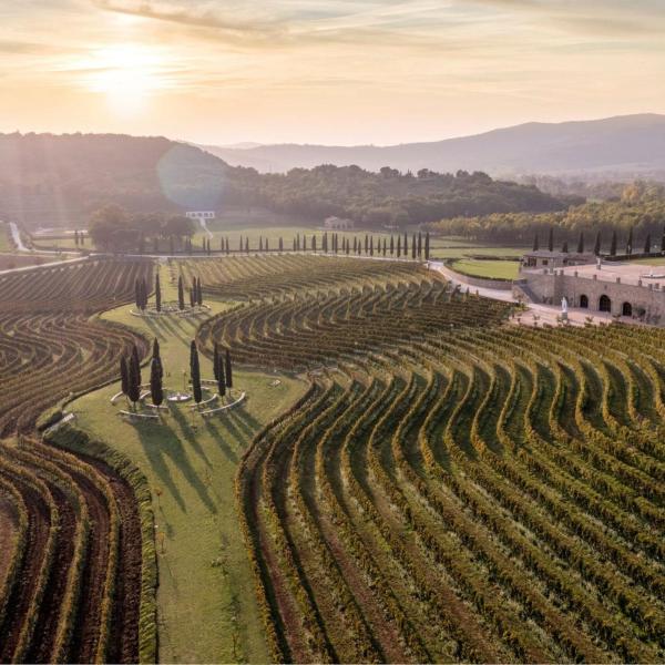 Tour enogastronomico in Umbria: ecco dove andare per vini e cibi di qualità