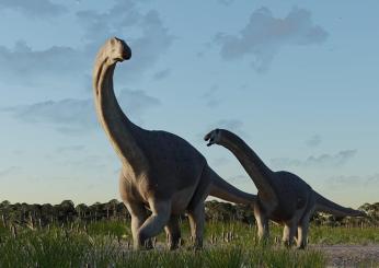 Nuova attrazione nel parco dei dinosauri a Gubbio: una sauropode titanosaura fatta a mano