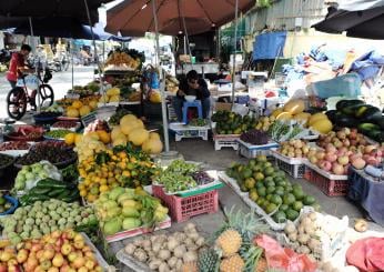 Il fascino della frutta esotica e rara: la storia di Semetella a Nocera Umbra