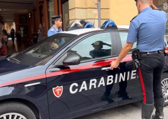 Blitz antidroga tra Spoleto e Foligno: quattro arresti, spacciavano nei boschi