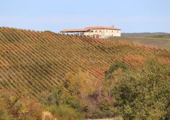 A Montefalco apre il Museo del Sagrantino