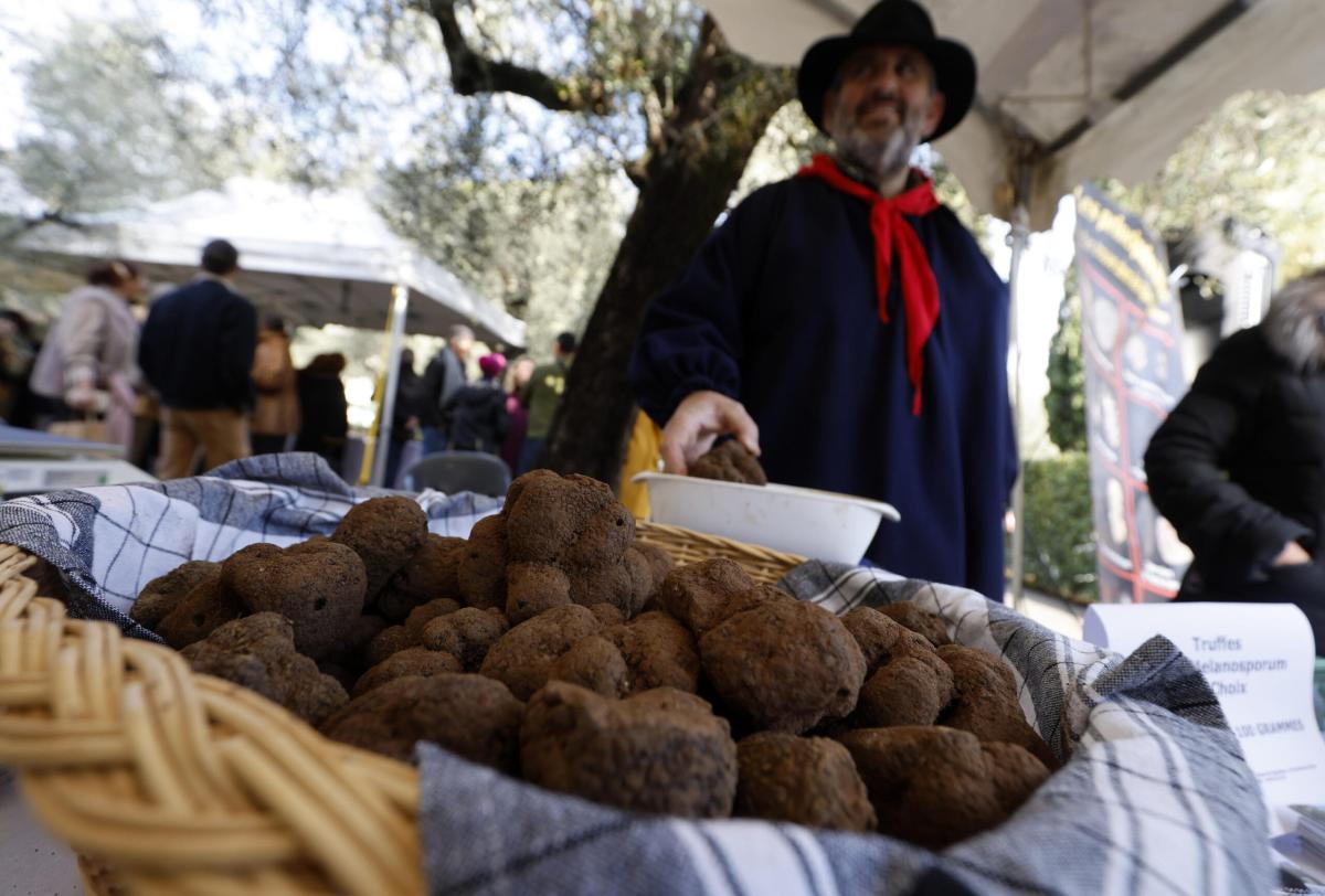 La guerra del tartufo slitta alla prossima legislatura regionale