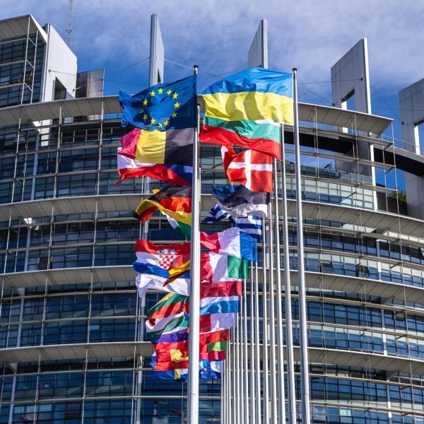 Europa, assegnate le commissioni parlamentari: dove stanno gli eurodeputati umbri