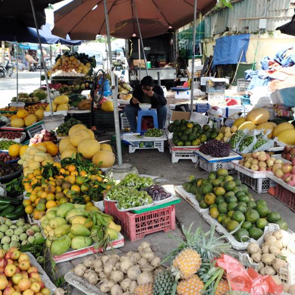 Il fascino della frutta esotica e rara: la storia di Semetella a Nocera Umbra