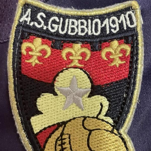 Dove vedere Gubbio-Ternana: data e orario