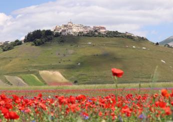 Fioritura di Castelluccio, torna il bus navetta per difendere l’ambiente