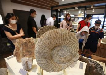 Distrutti i cartelli geo-segnaletici della Gola del Bottaccione a Gubbio. Regna l’abbandono in un sito tra i più importanti del Mondo